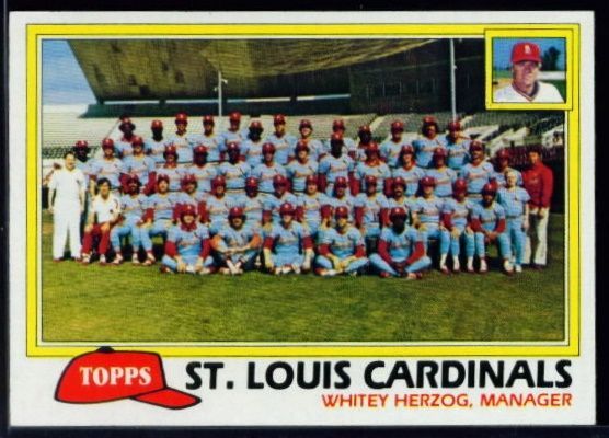 684 Cardinals Team